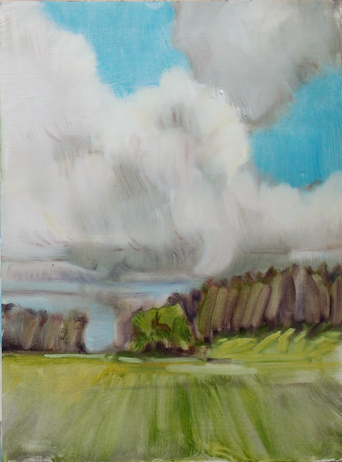 Landschaftsmalerei, en plein air, Freilichtmalerei, Wolken, Öl auf Leinwand, Tanja Leodolter, Künstlerin