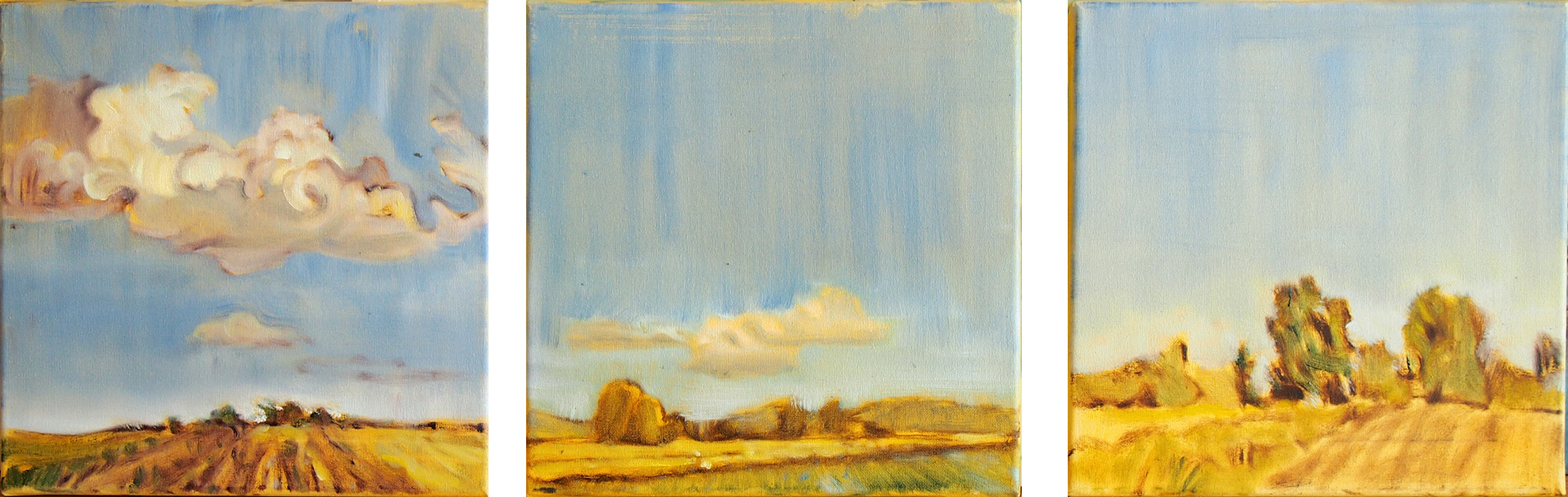 Landschaftsmalerei, en plein air, Freilichtmalerei, Felder, Wolken, Öl auf Leinwand, Tanja Leodolter, Künstlerin